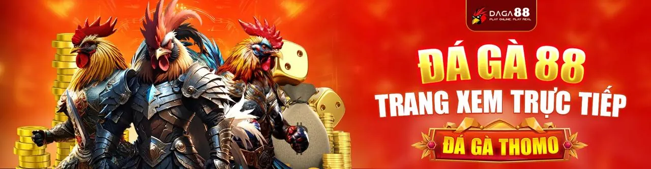 Sân đấu đá gà trực tuyến DG88